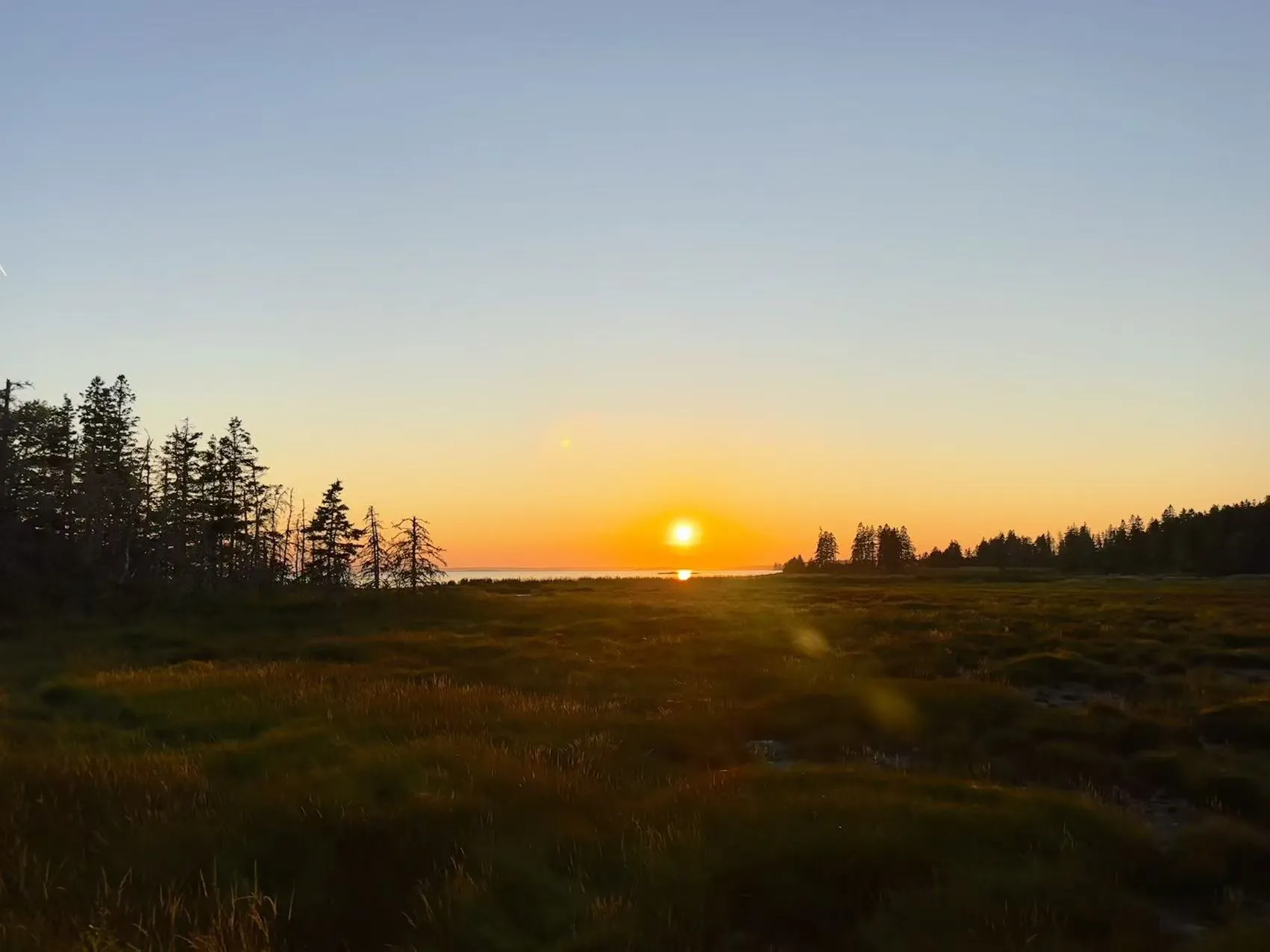 Acadia National Park photo 10