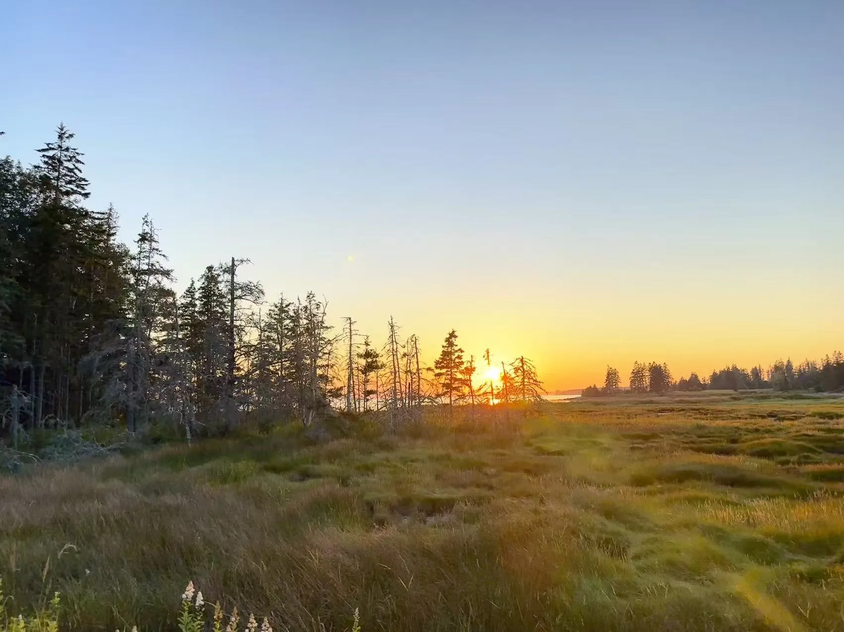 Acadia National Park photo 11