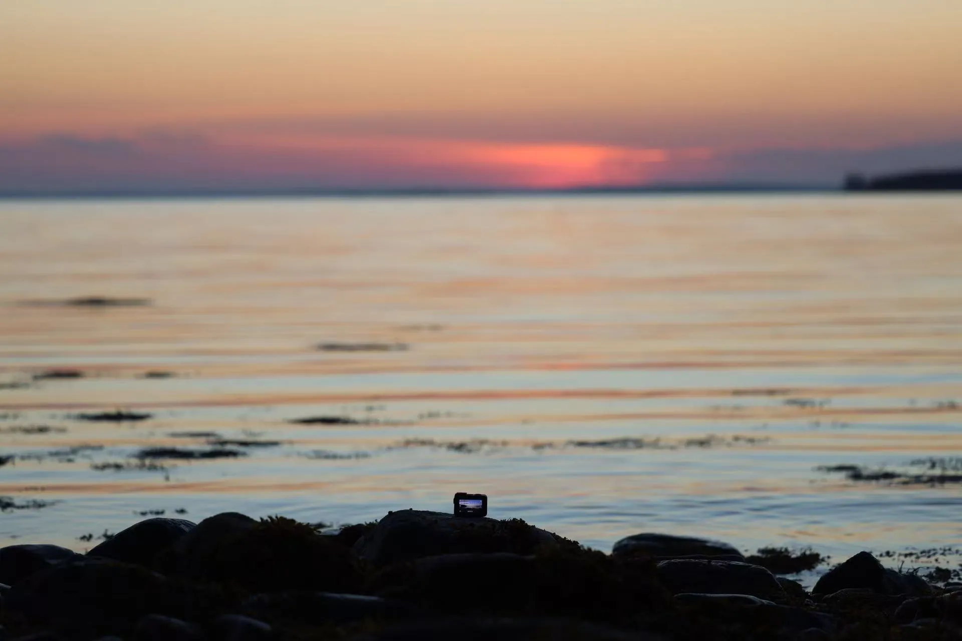 Acadia National Park photo 13