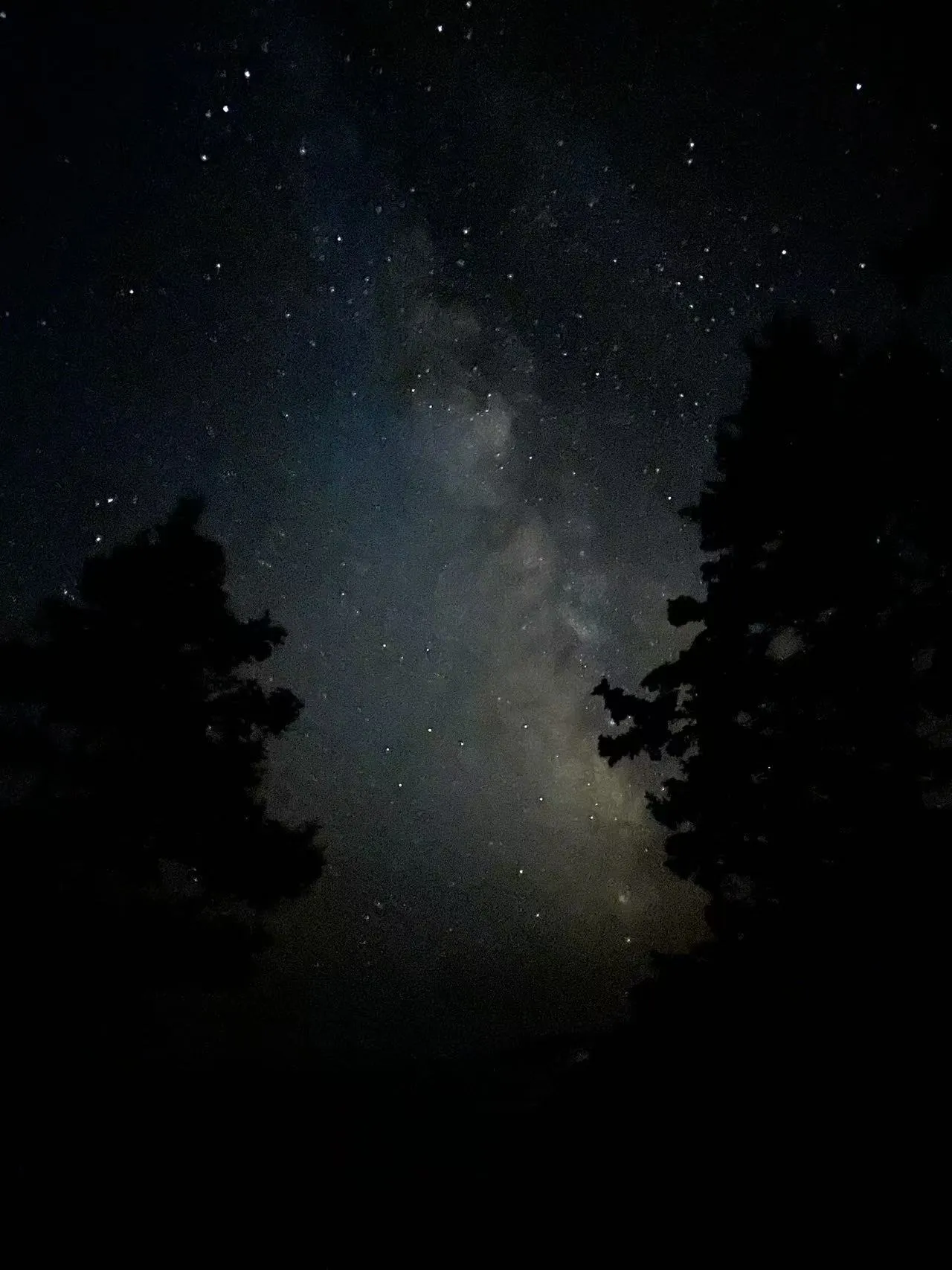 Acadia National Park photo 20