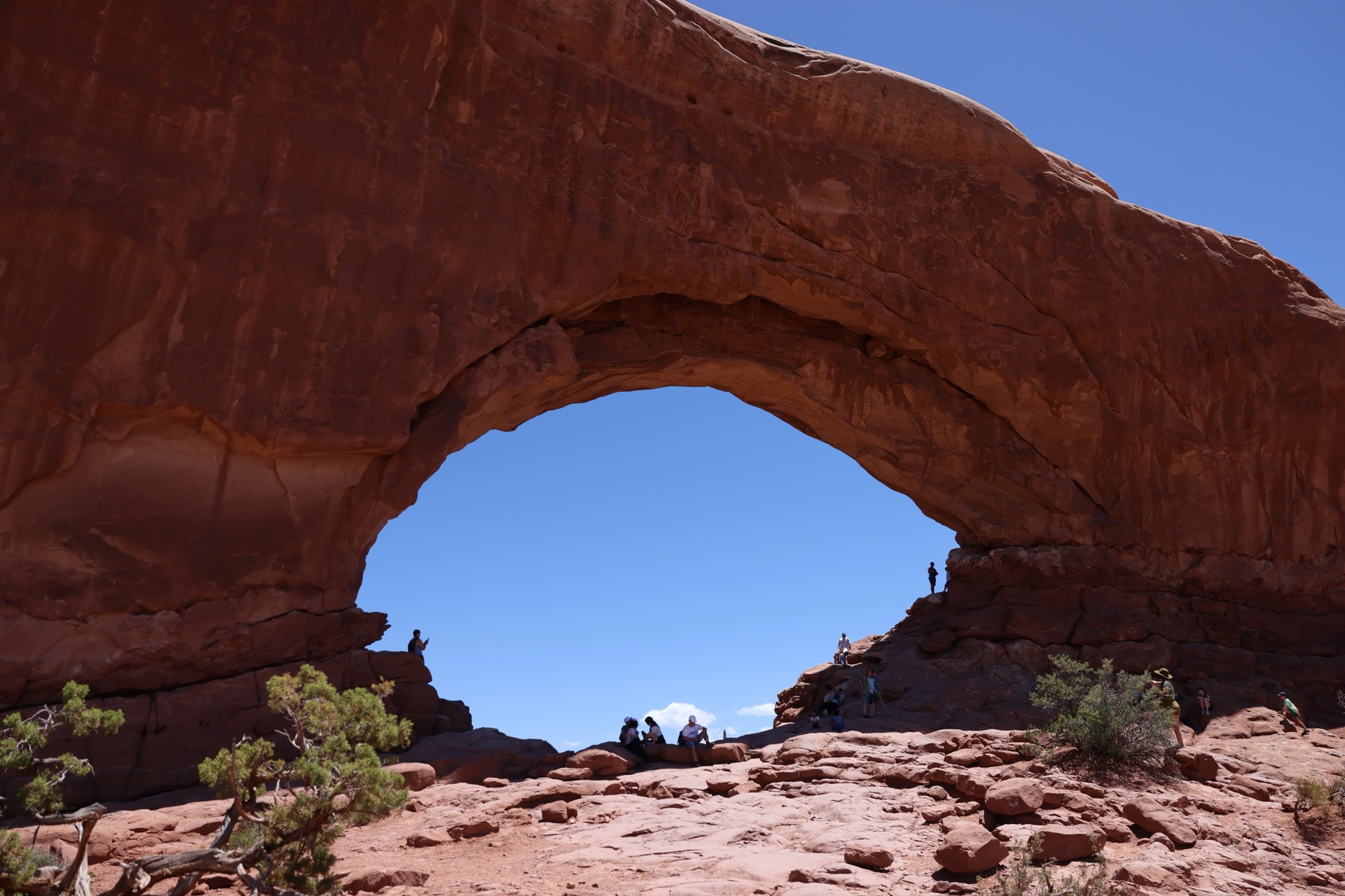 Arches National Park photo 12