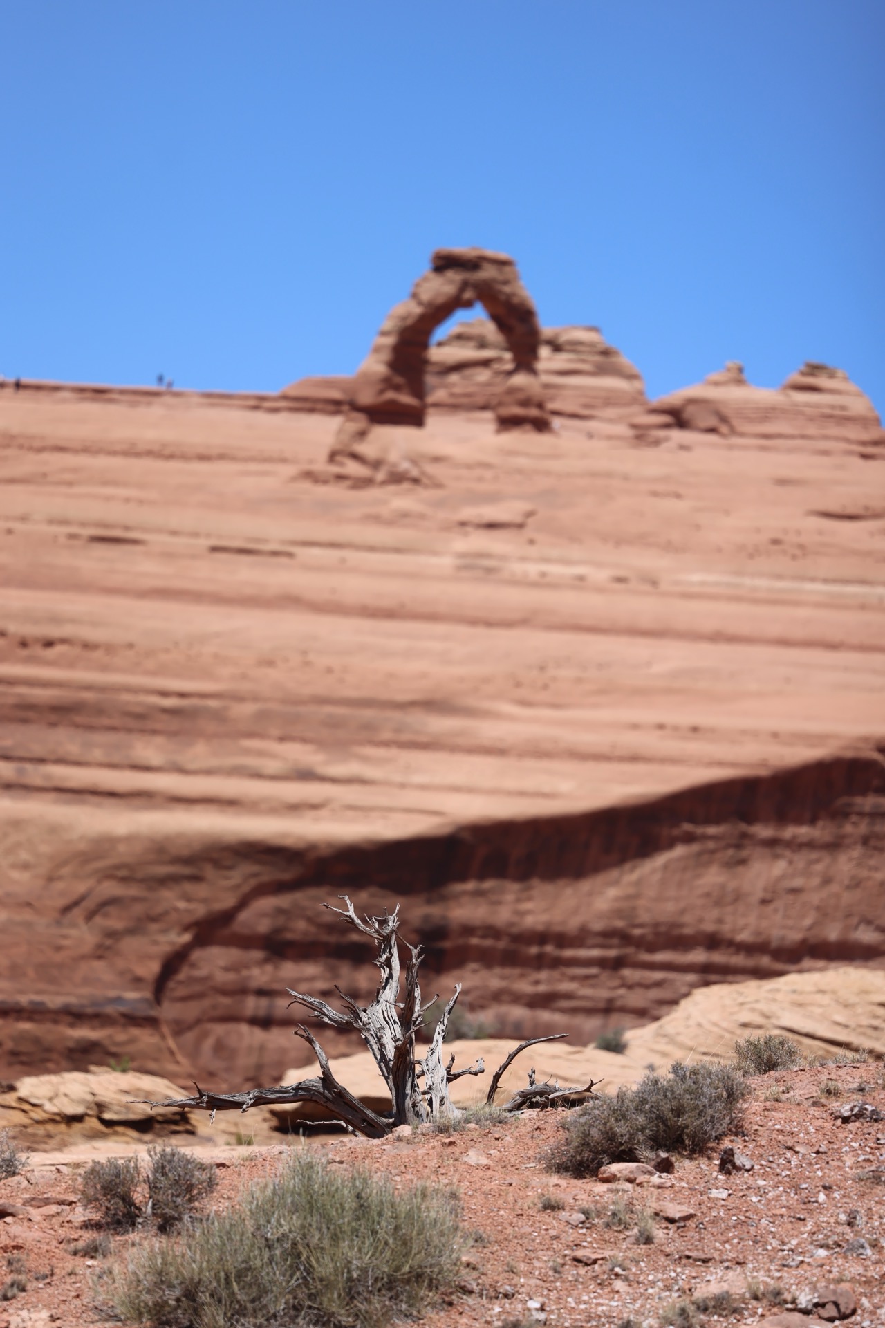 Arches National Park photo 15