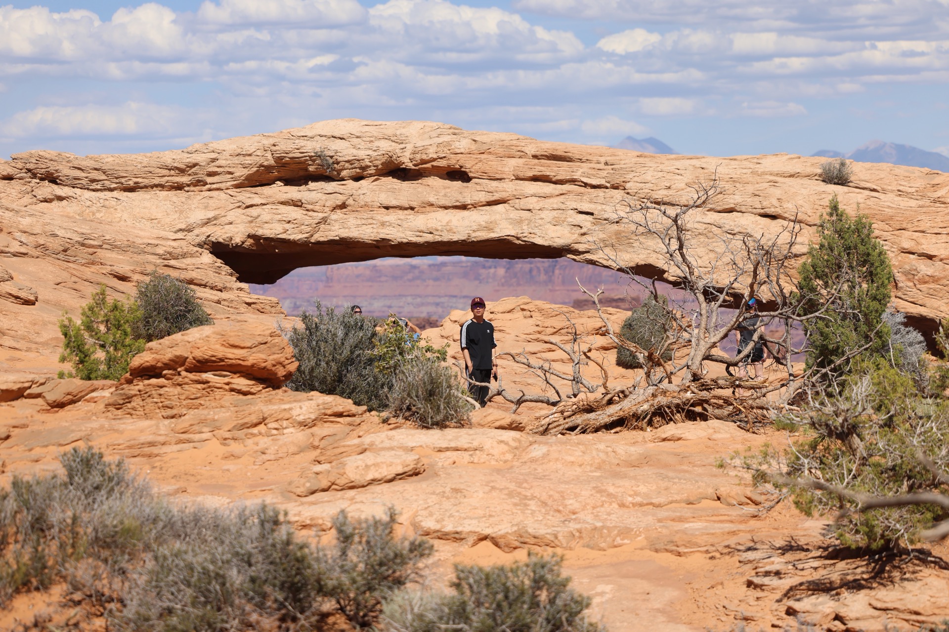 Arches National Park photo 18
