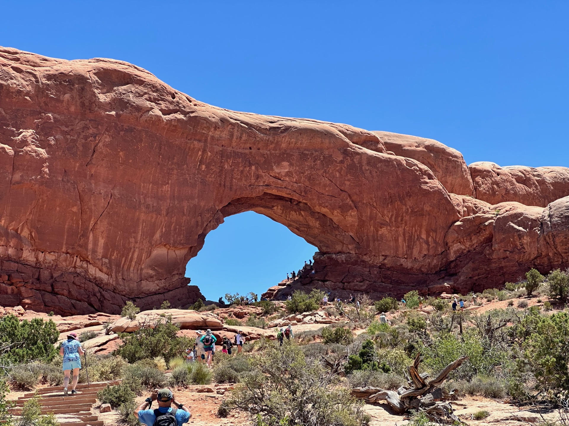 Arches National Park photo 22