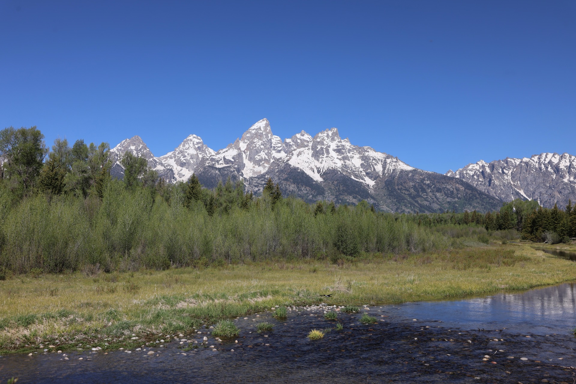 Grand Teton National Park photo 4