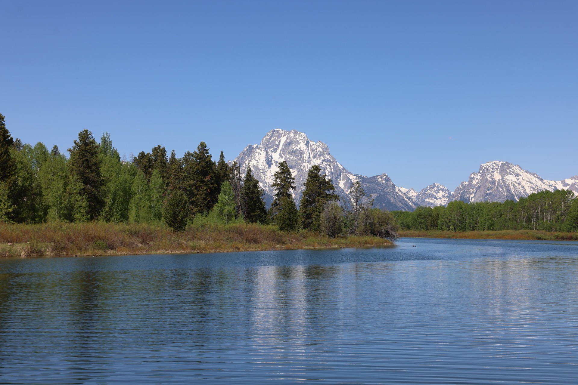 Grand Teton National Park photo 6