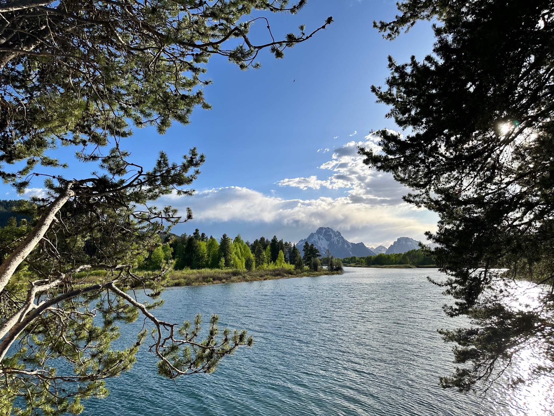 Grand Teton National Park photo 13