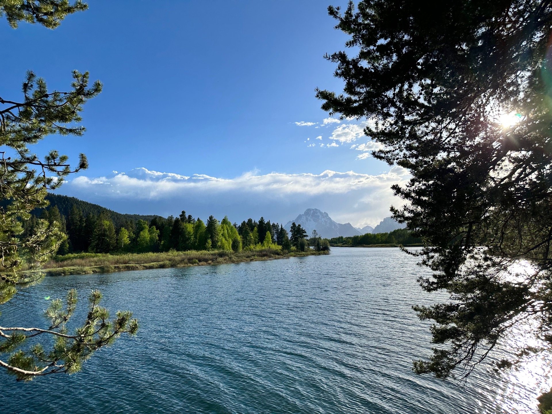 Grand Teton National Park photo 14