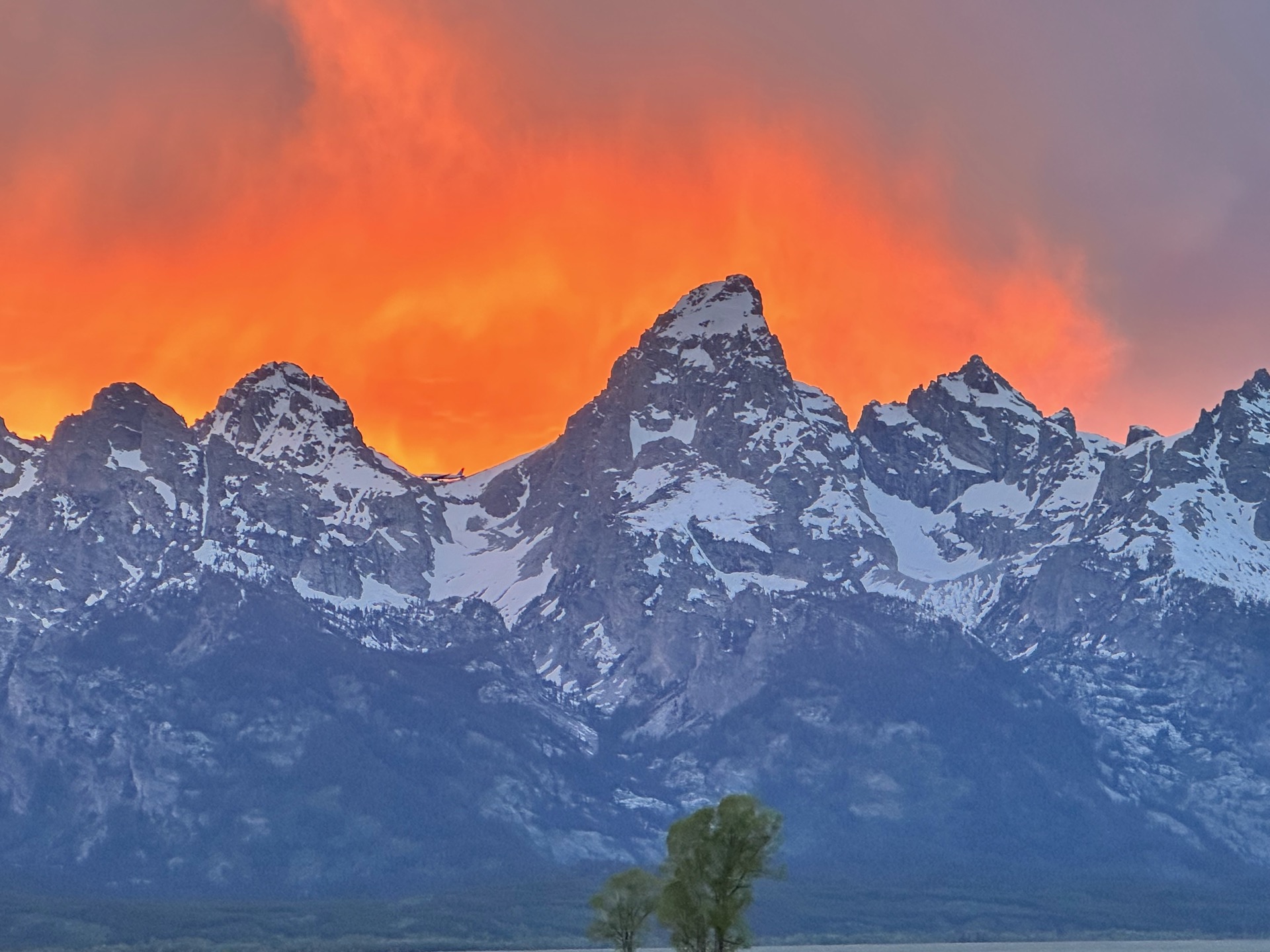 Grand Teton National Park photo 28