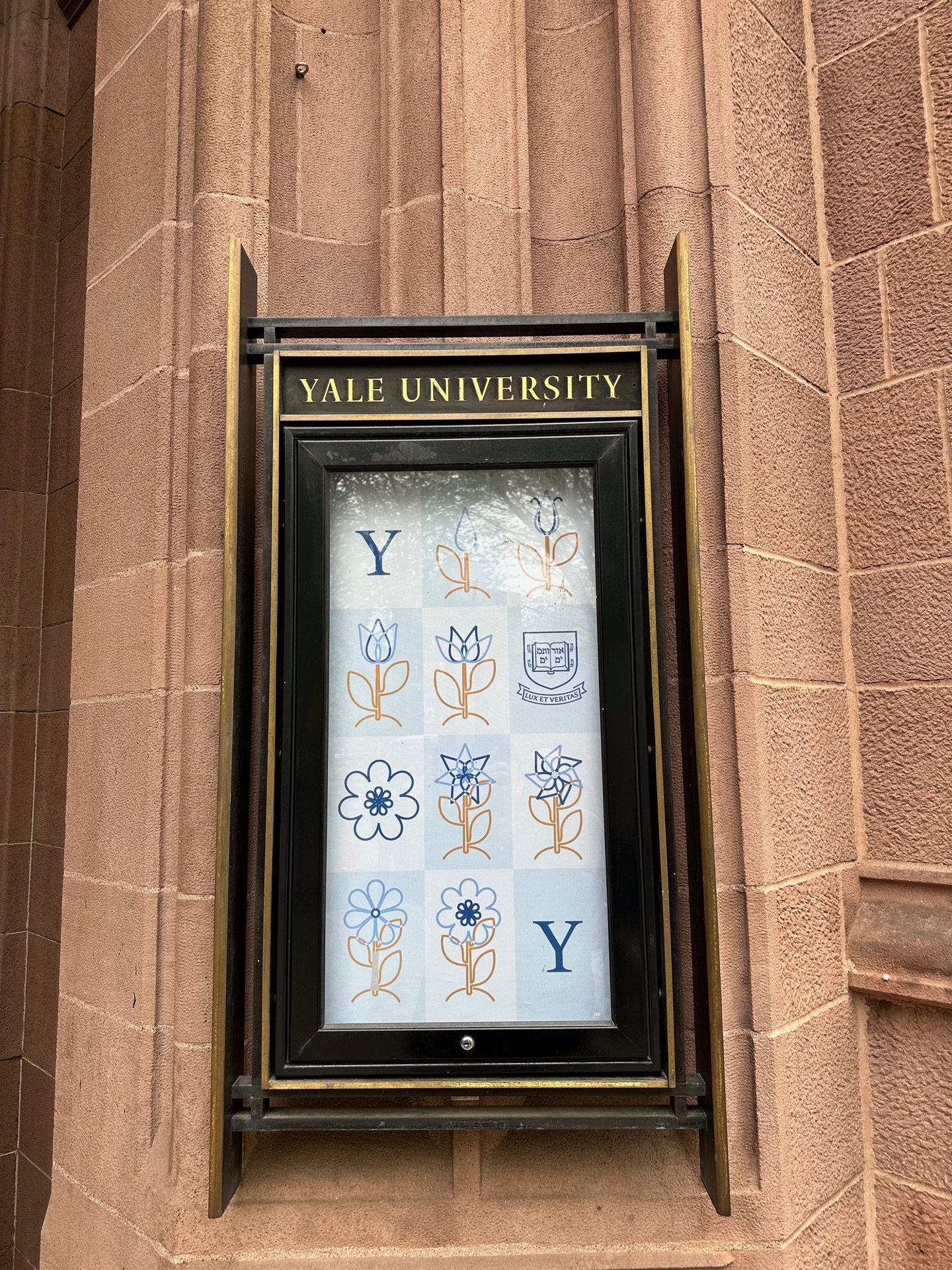 Harvard&Yale&MIT photo 2