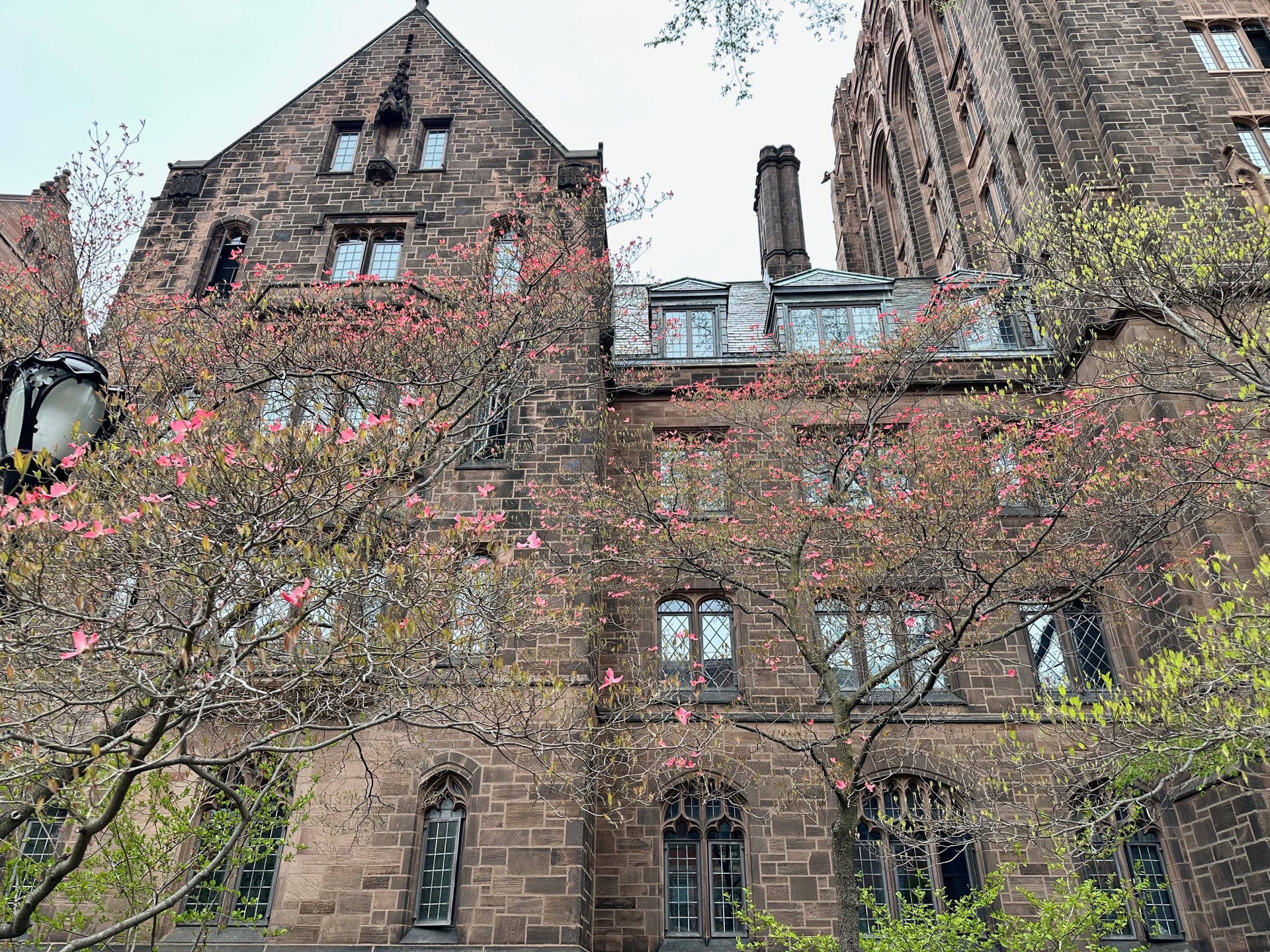 Harvard&Yale&MIT photo 4