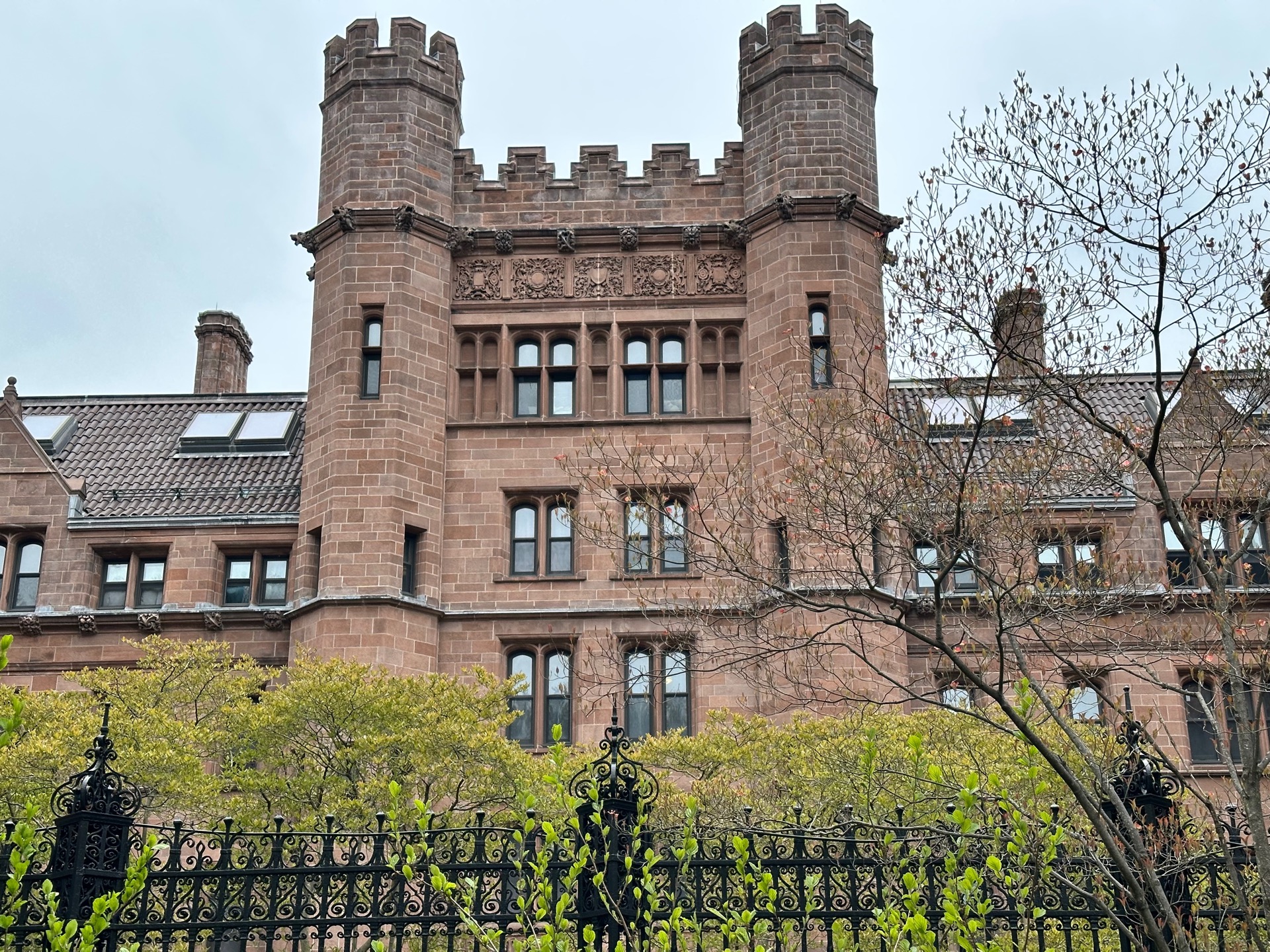 Harvard&Yale&MIT photo 5