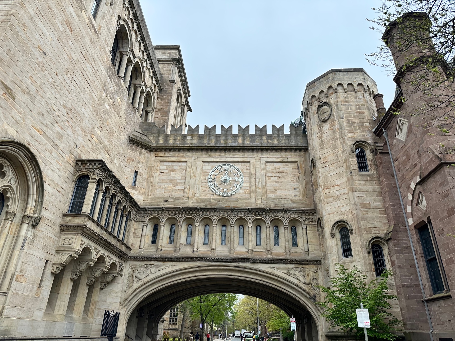 Harvard&Yale&MIT photo 6