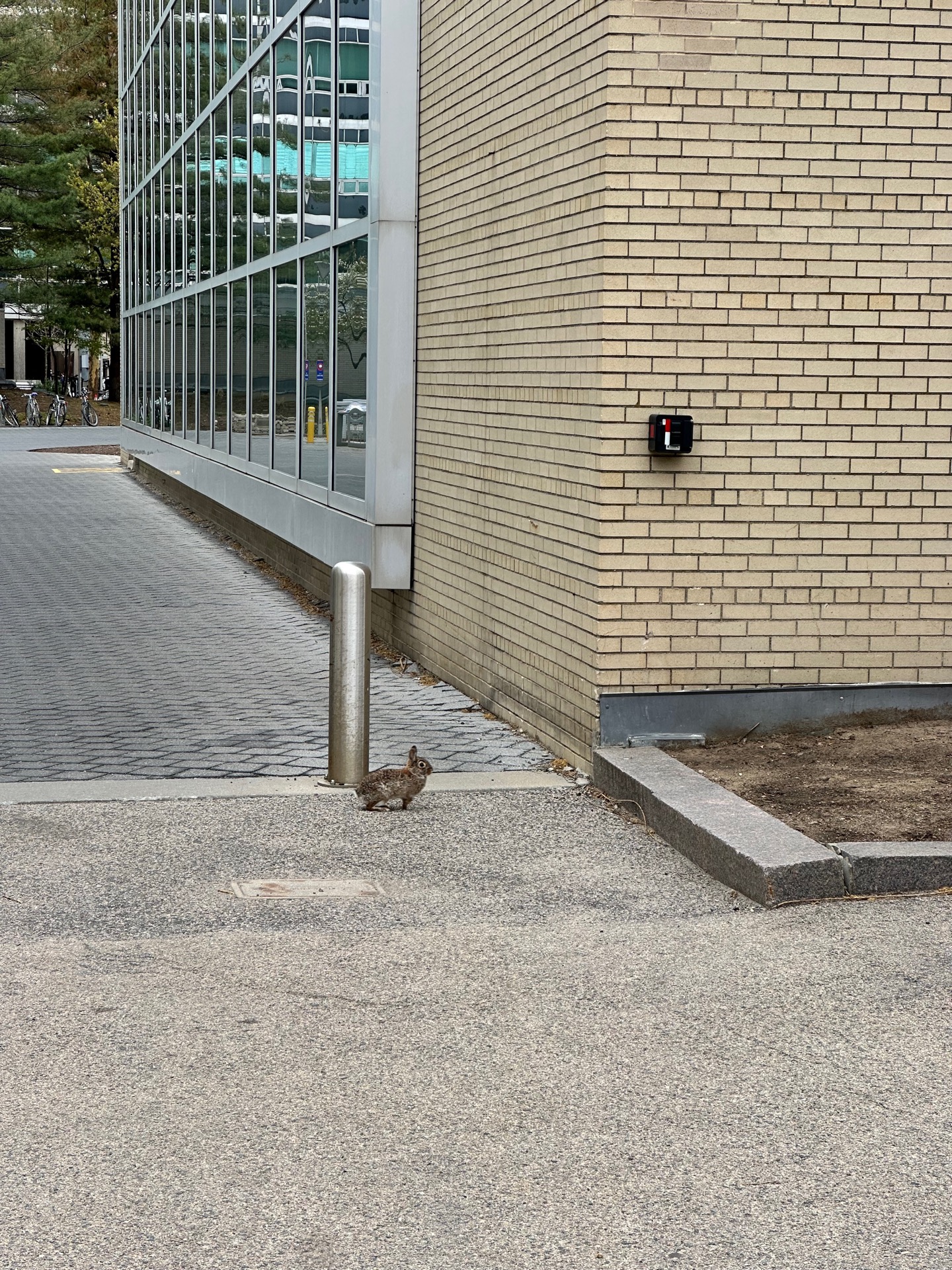 Harvard&Yale&MIT photo 13