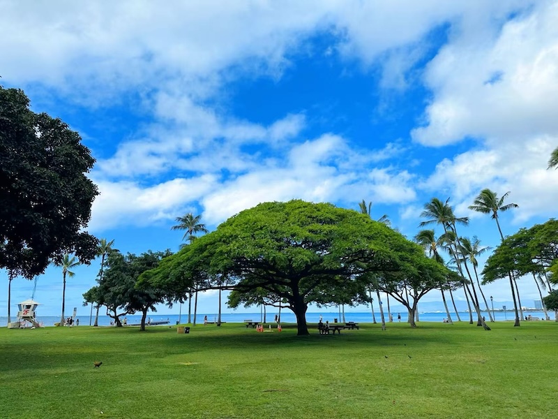 Hawaii travel cover