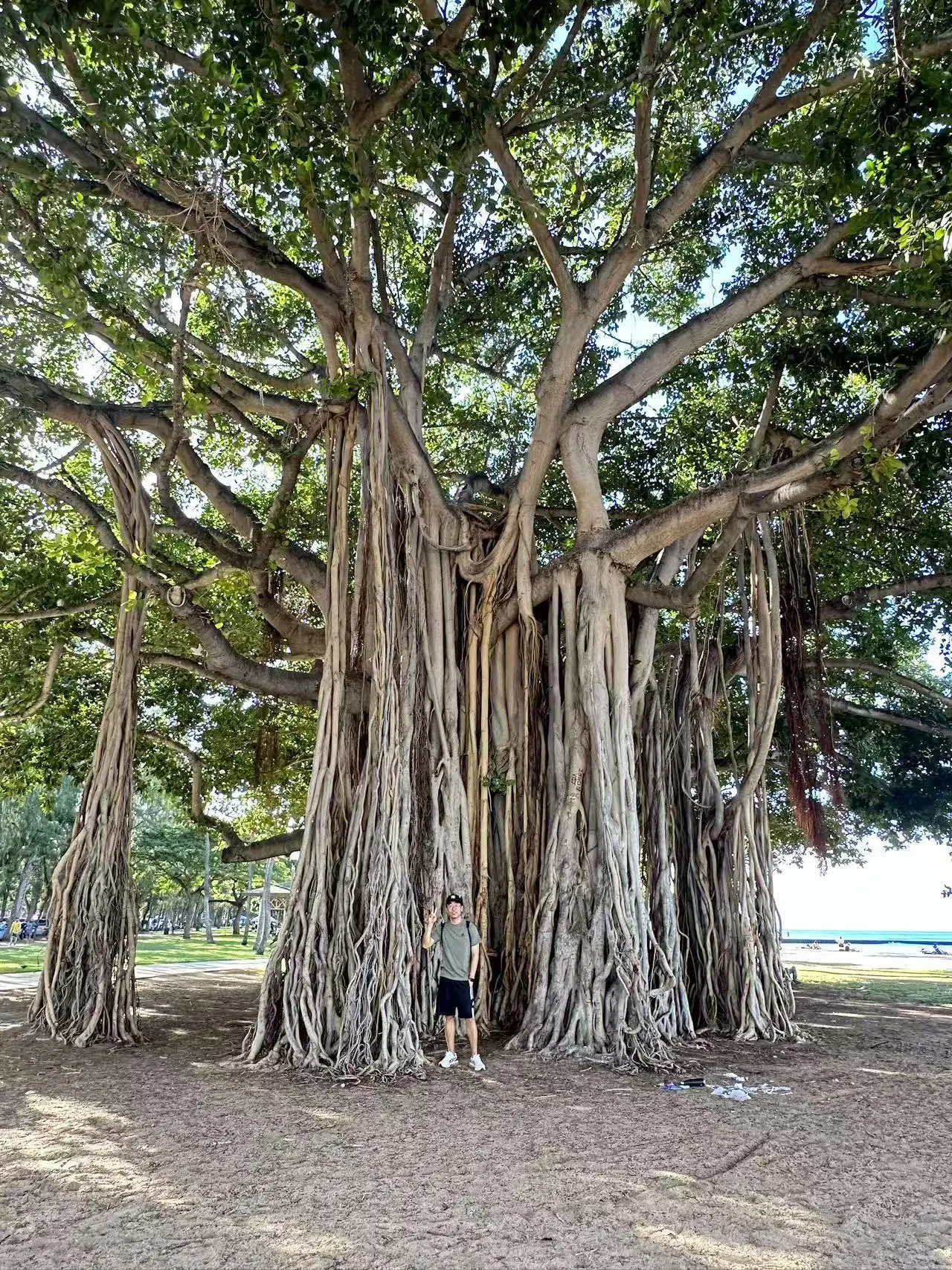Hawaii photo 4
