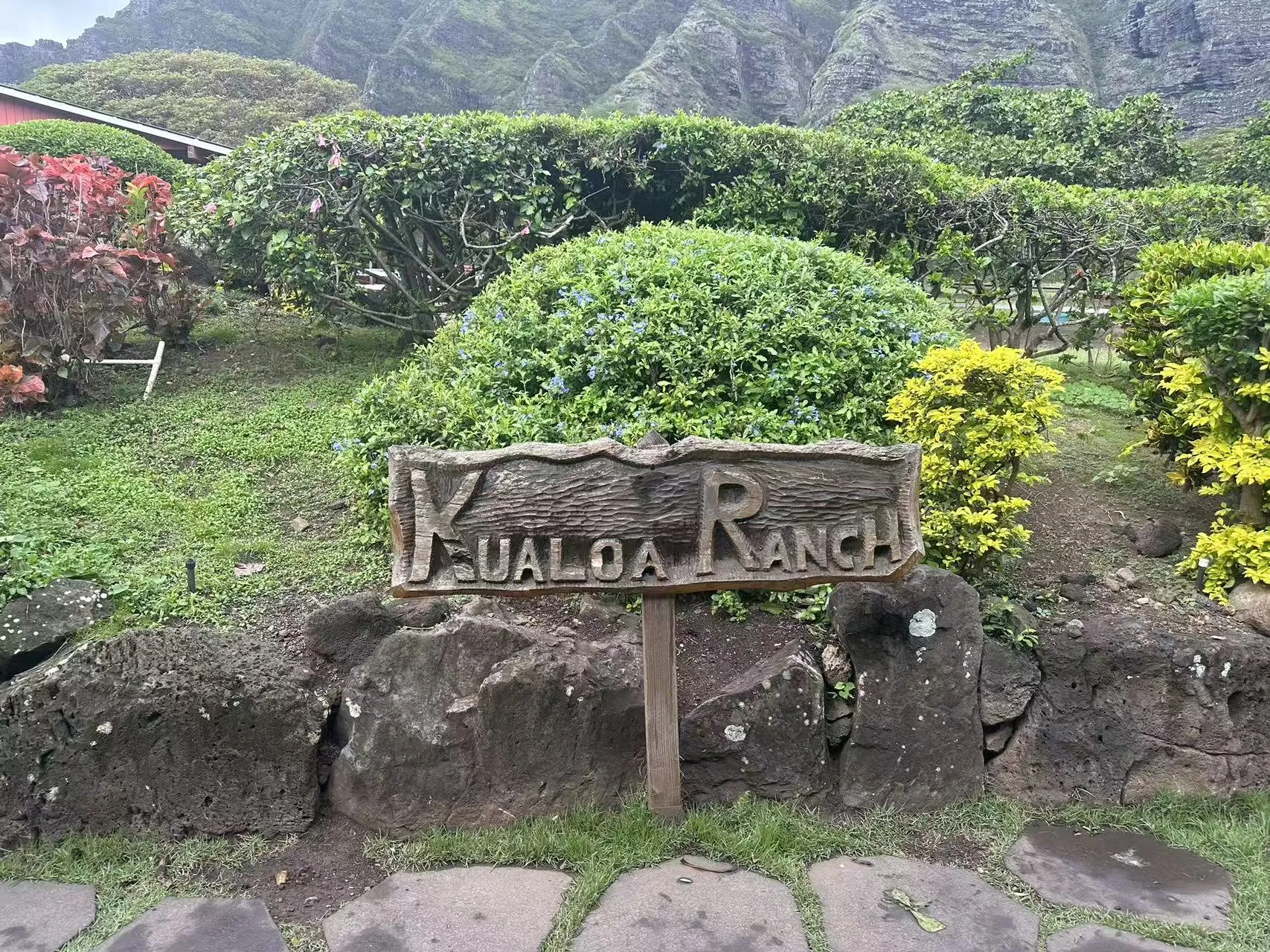 Hawaii photo 14