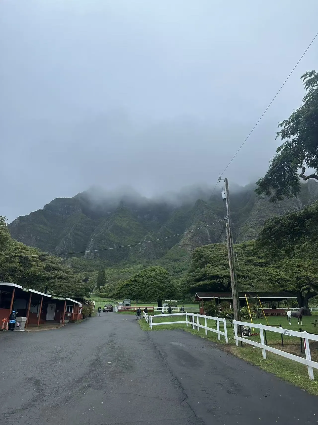 Hawaii photo 21