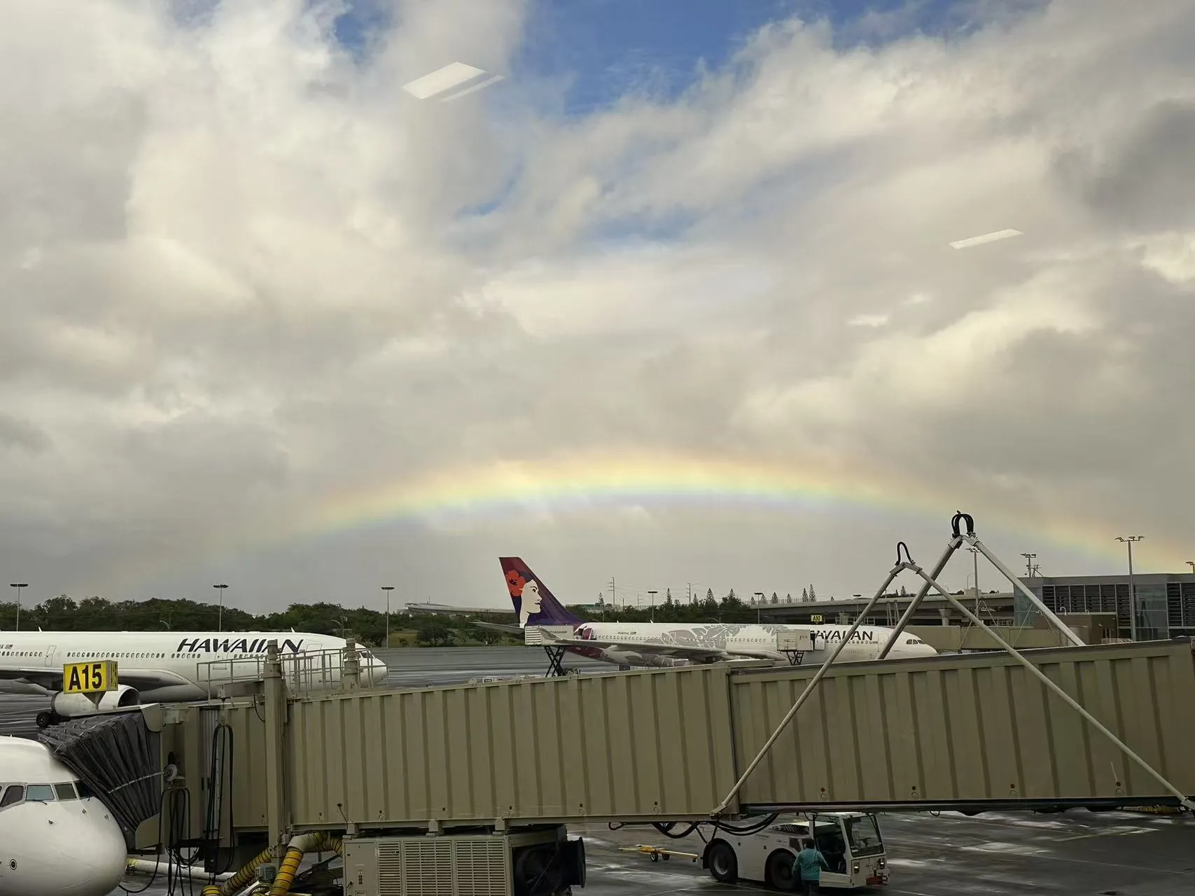 Hawaii photo 26