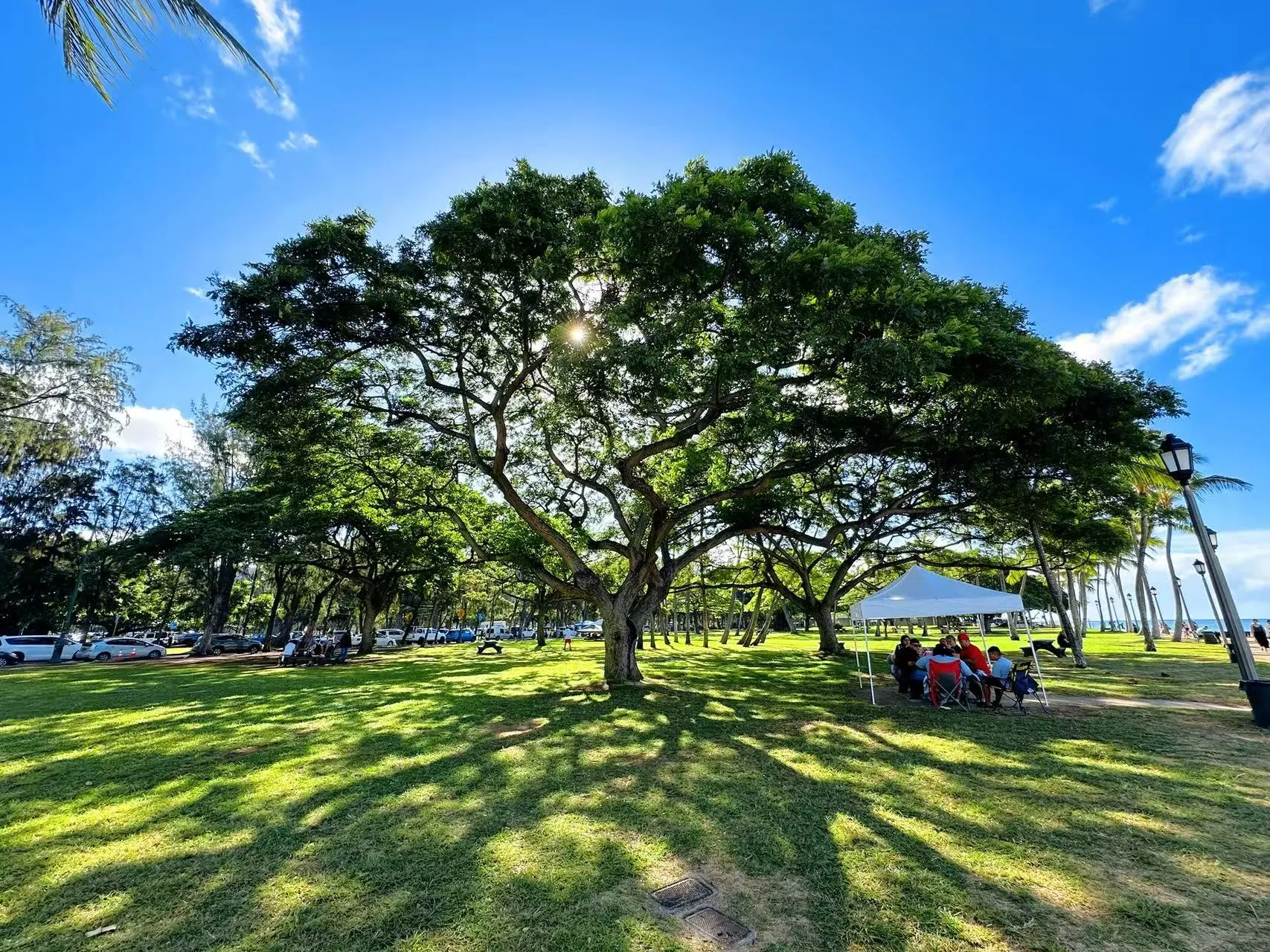 Hawaii photo 30