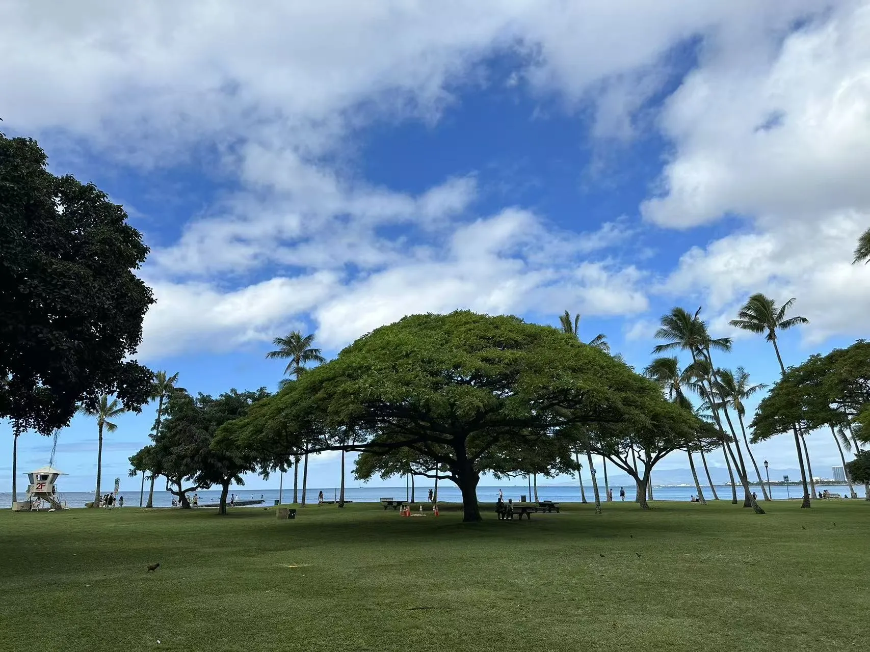 Hawaii photo 34