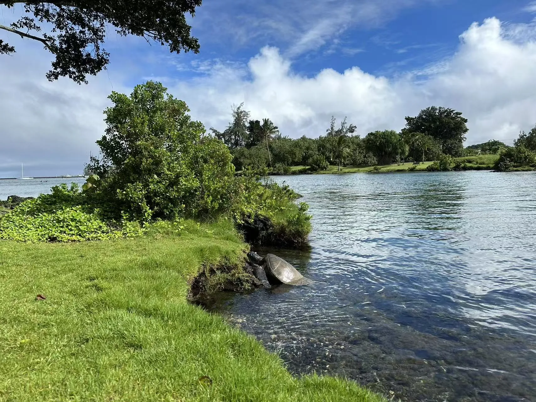 Hawaii photo 38