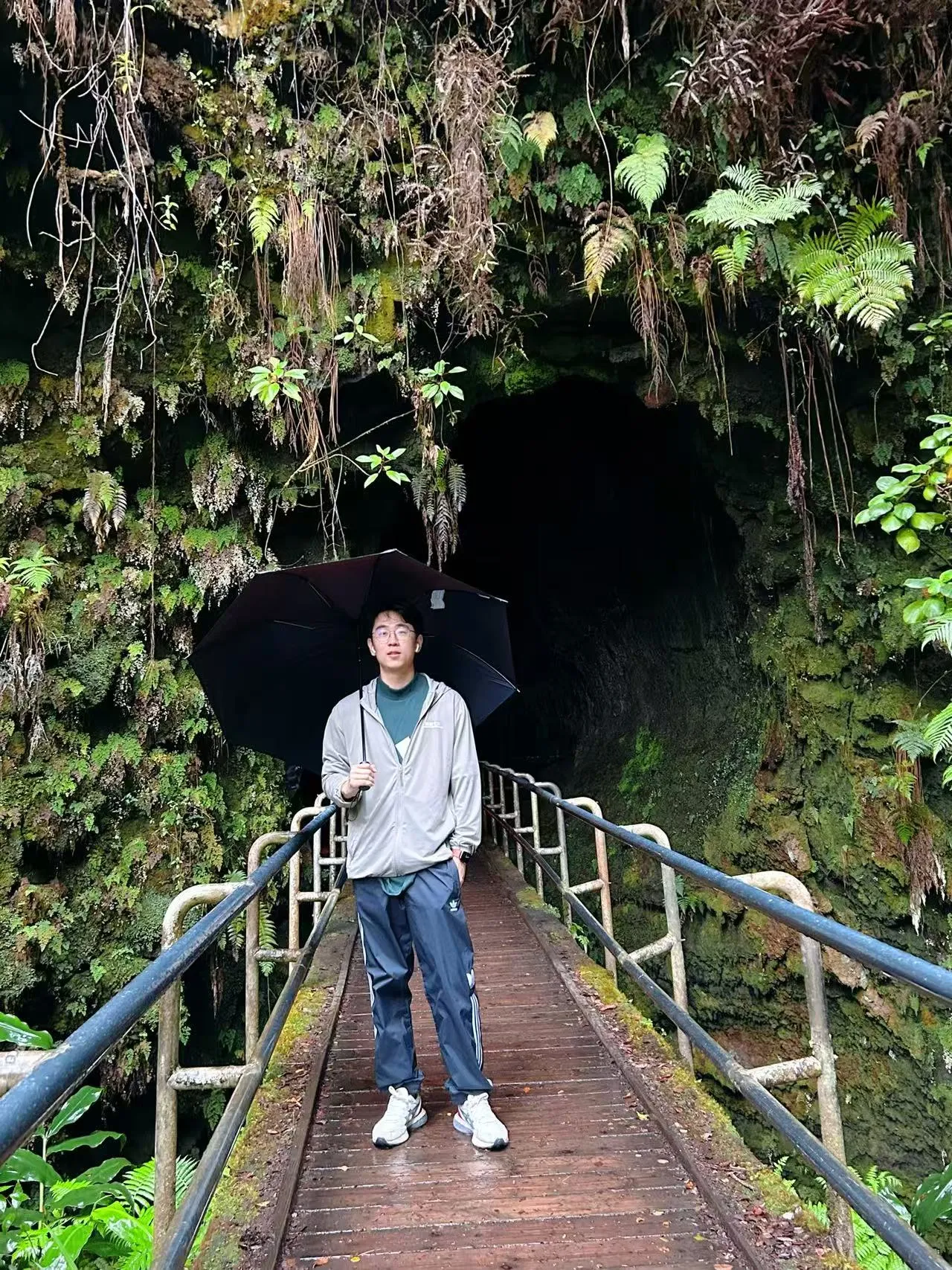 Hawaii photo 42
