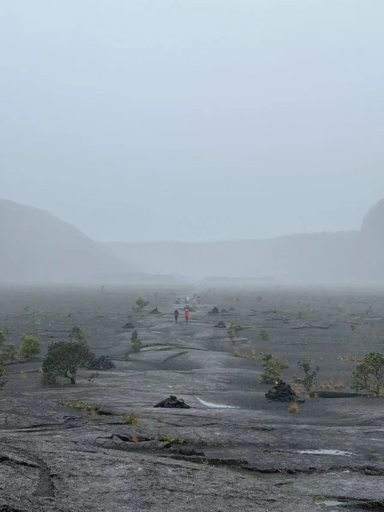 Hawaii photo 43