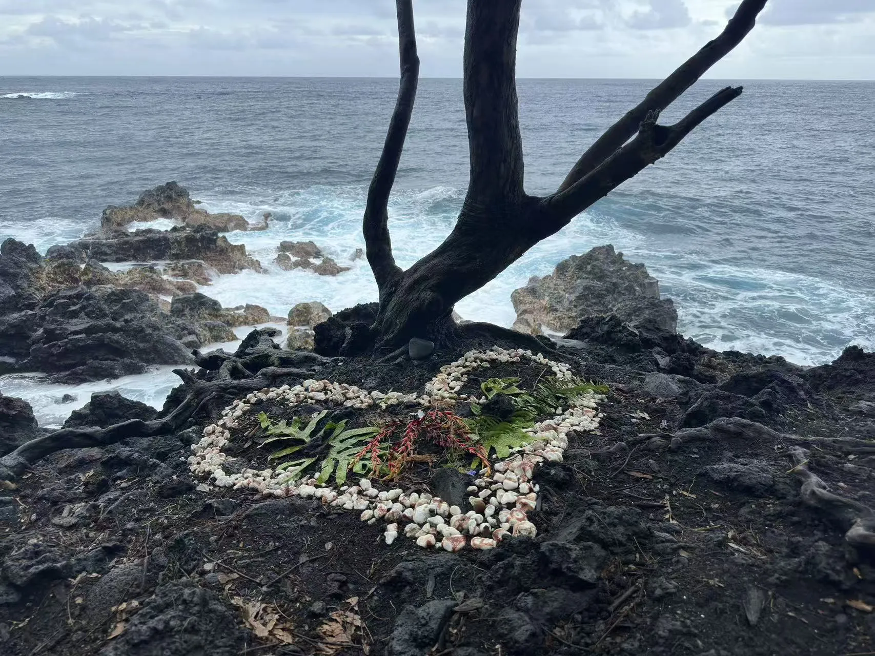 Hawaii photo 47