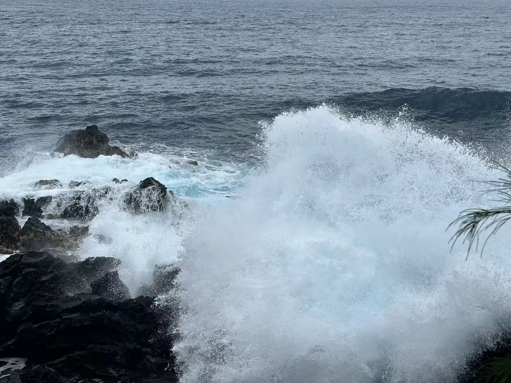 Hawaii photo 48