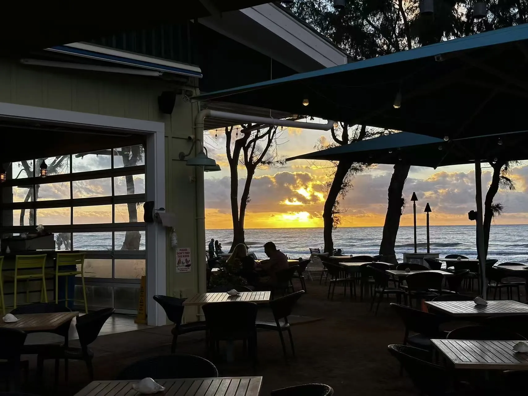 Hawaii photo 50