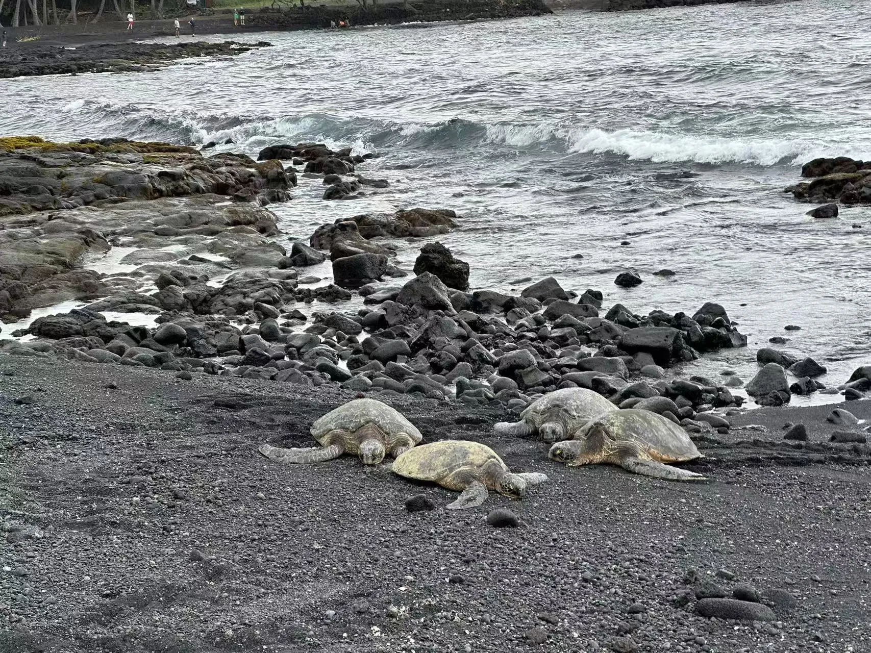 Hawaii photo 53