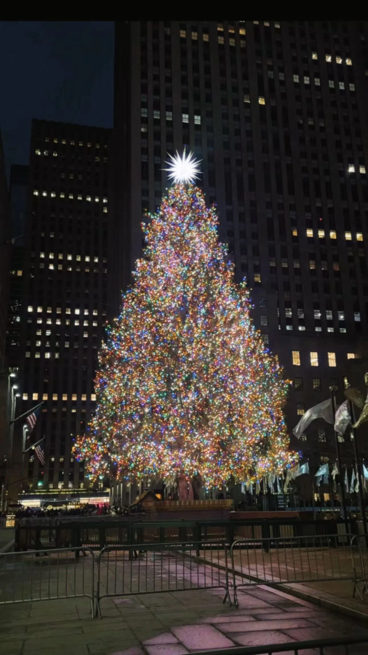 Christmas(2024) photo 5