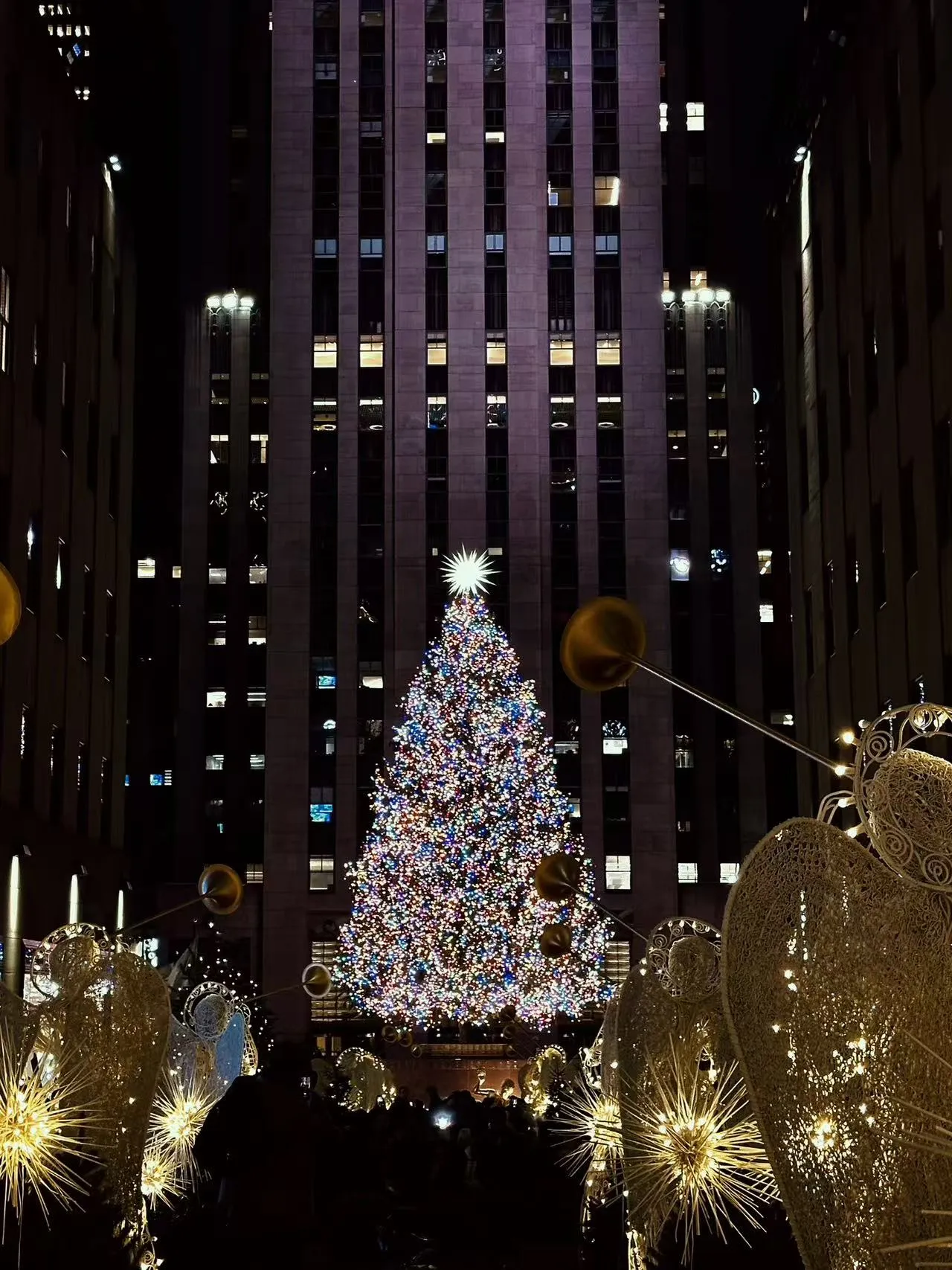 Christmas(2024) photo 6