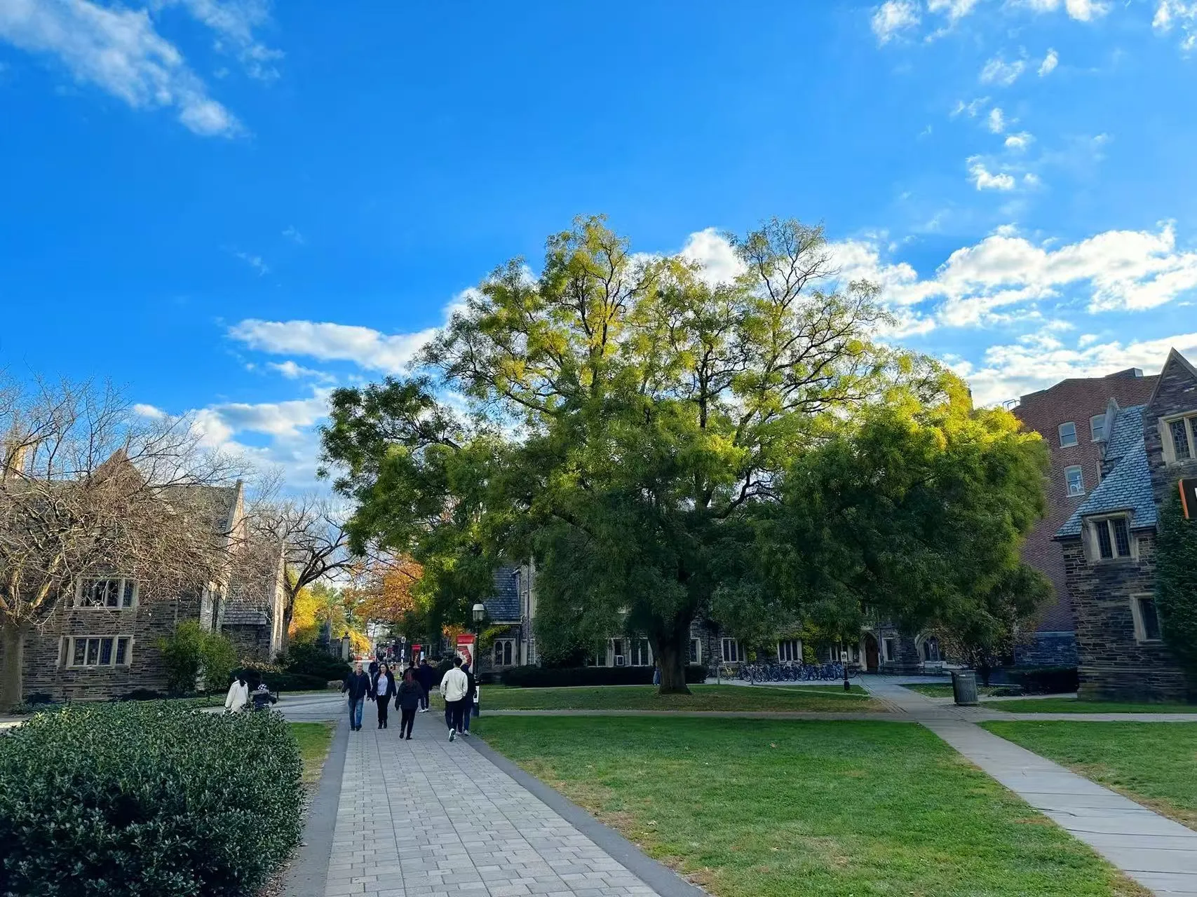 Princeton University photo 6