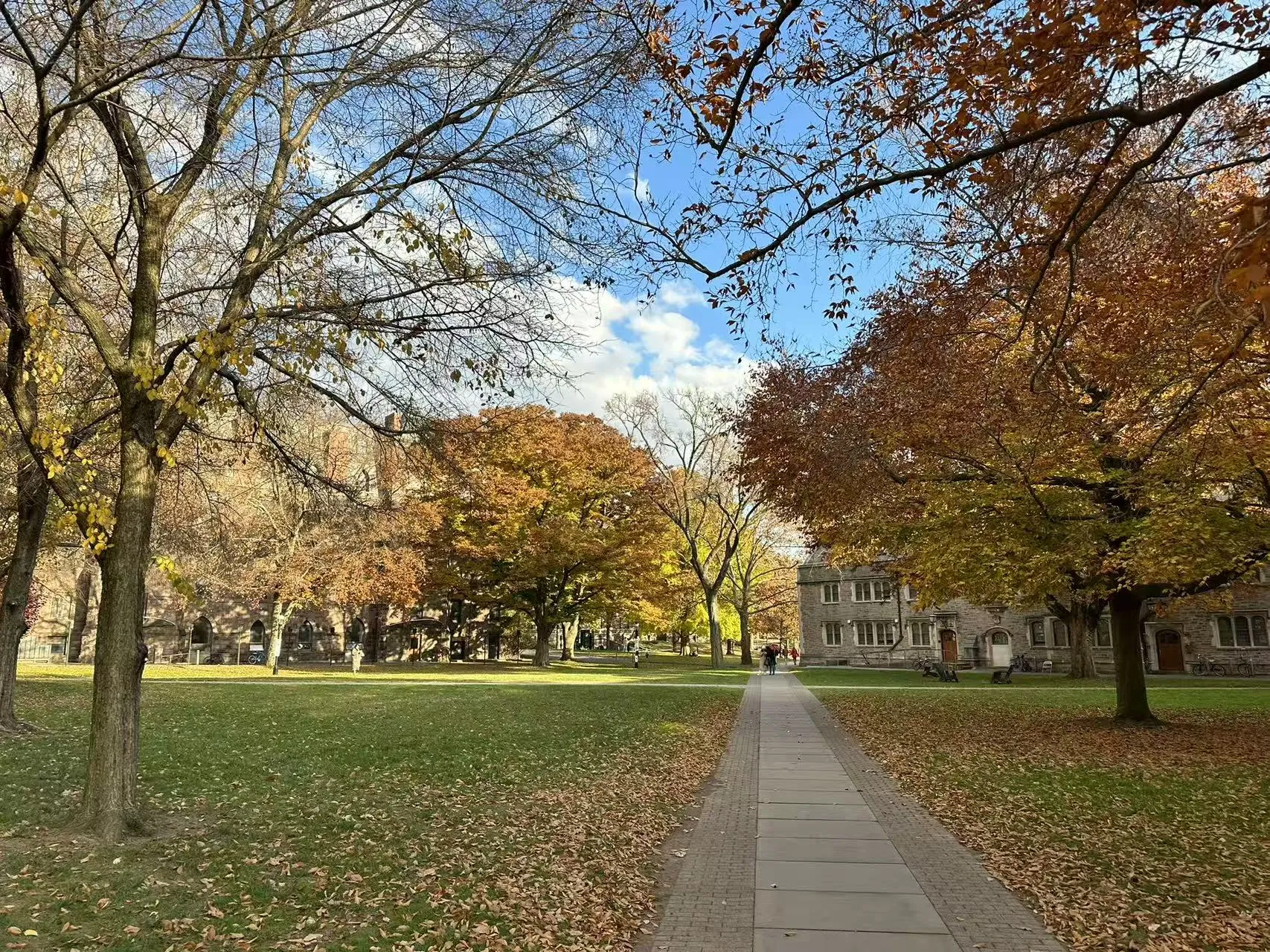 Princeton University photo 8