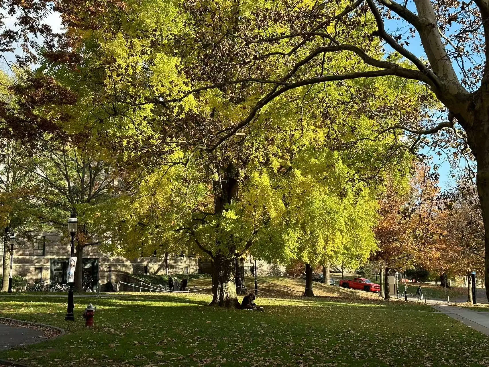 Princeton University photo 11