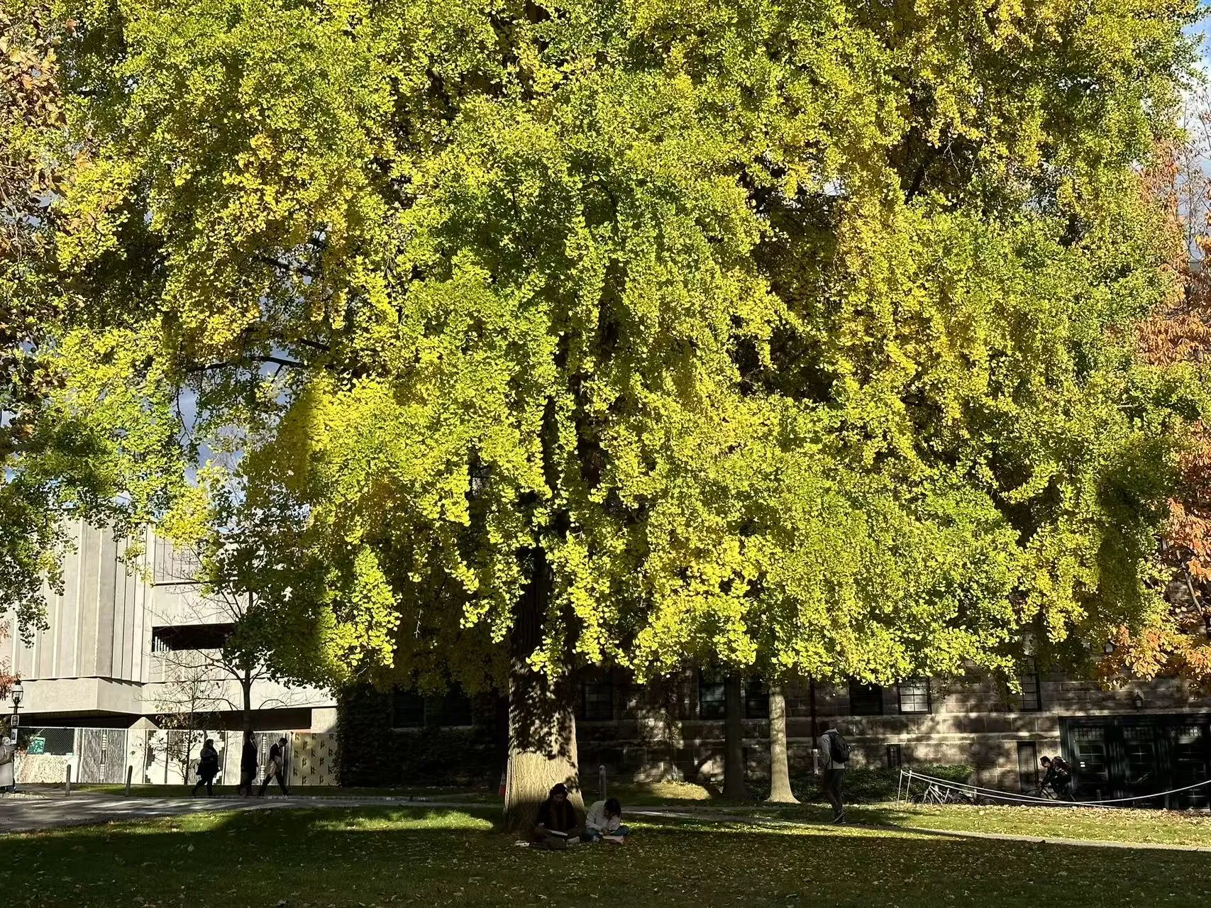 Princeton University photo 12