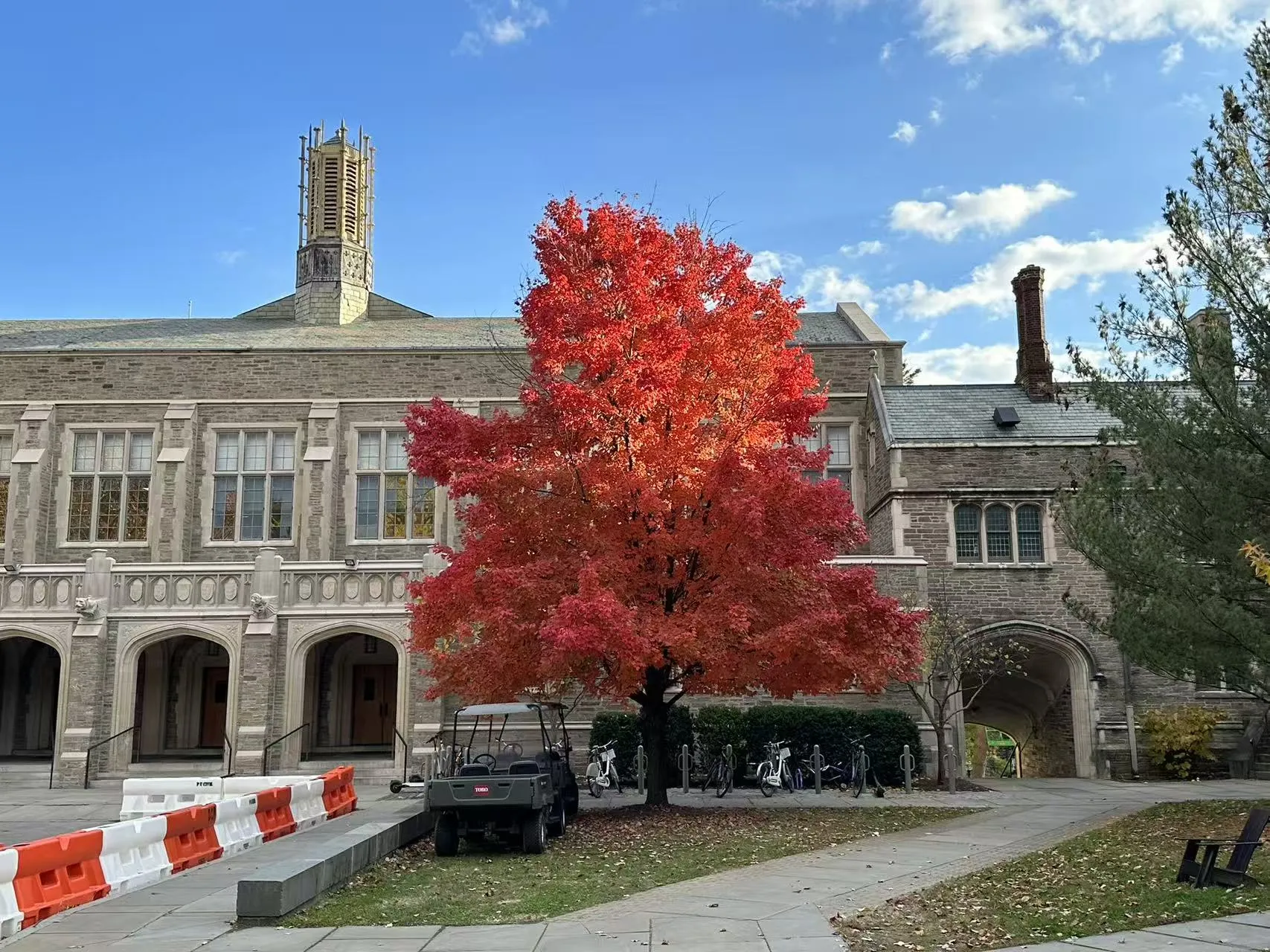 Princeton University photo 13