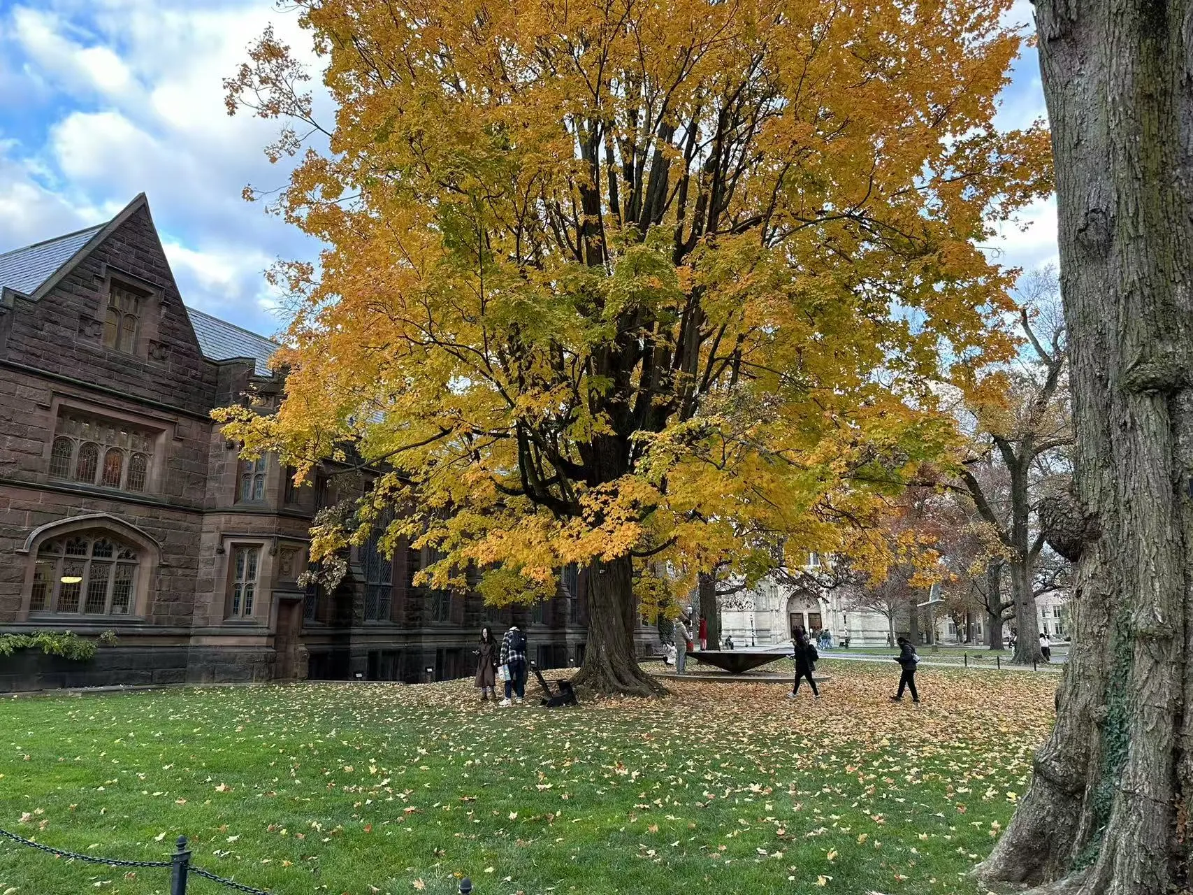 Princeton University photo 16