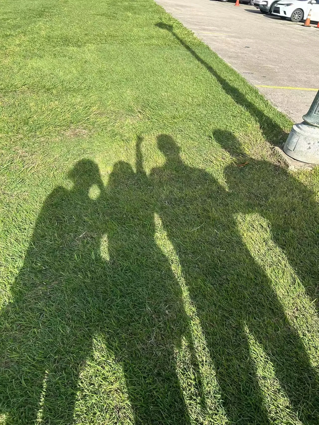 Puerto Rico photo 19