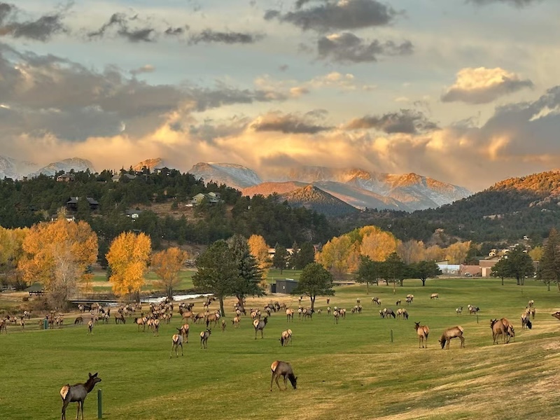 Rocky Mountain National Park travel cover