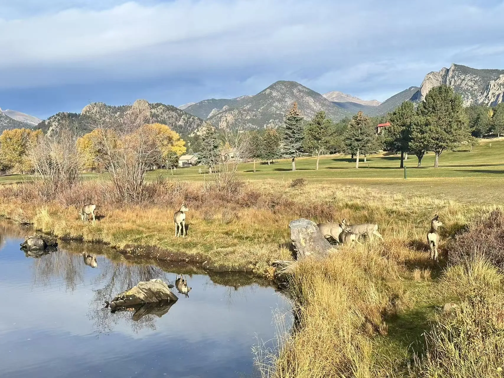 Rocky Mountain National Park photo 7
