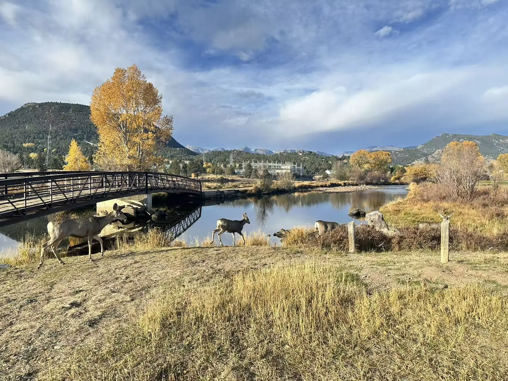 Rocky Mountain National Park photo 8