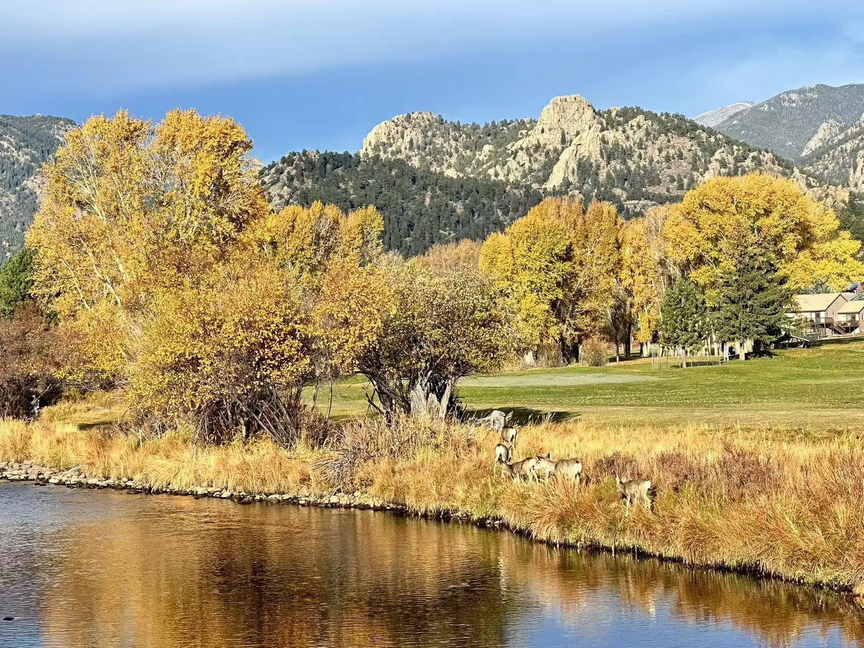 Rocky Mountain National Park photo 10