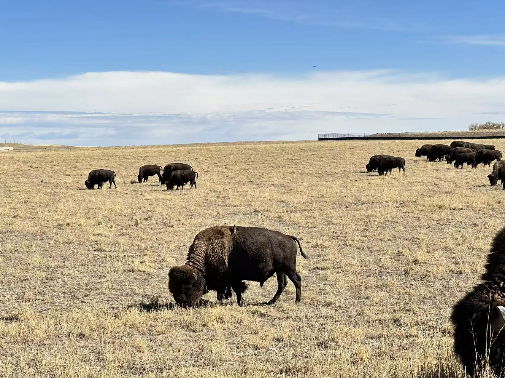 Rocky Mountain National Park photo 19