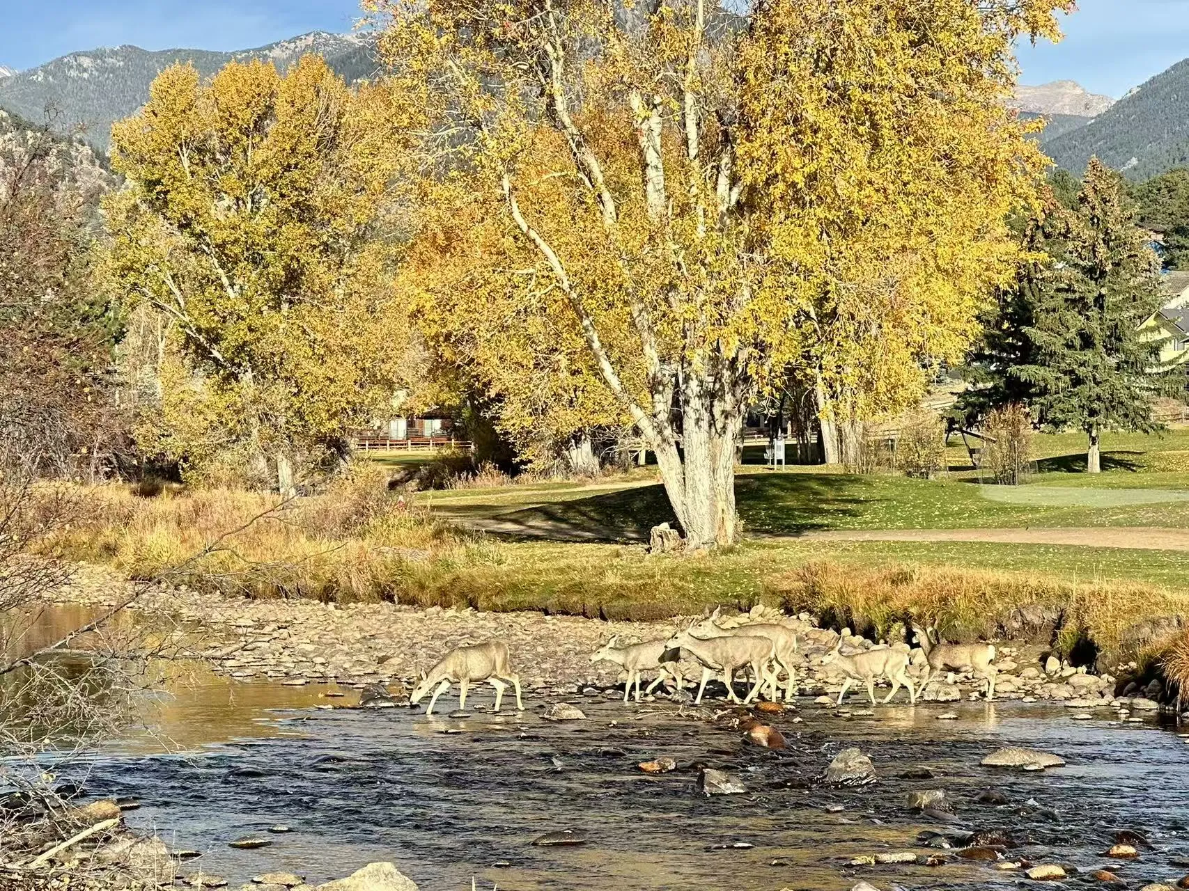 Rocky Mountain National Park photo 22
