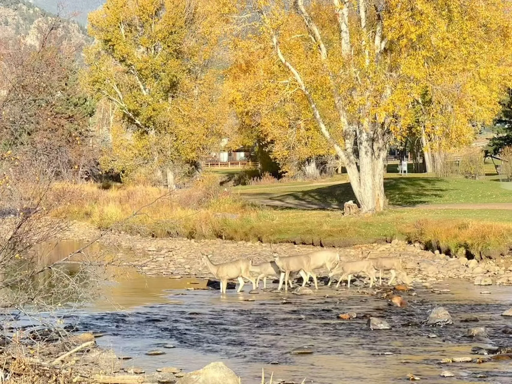 Rocky Mountain National Park photo 23