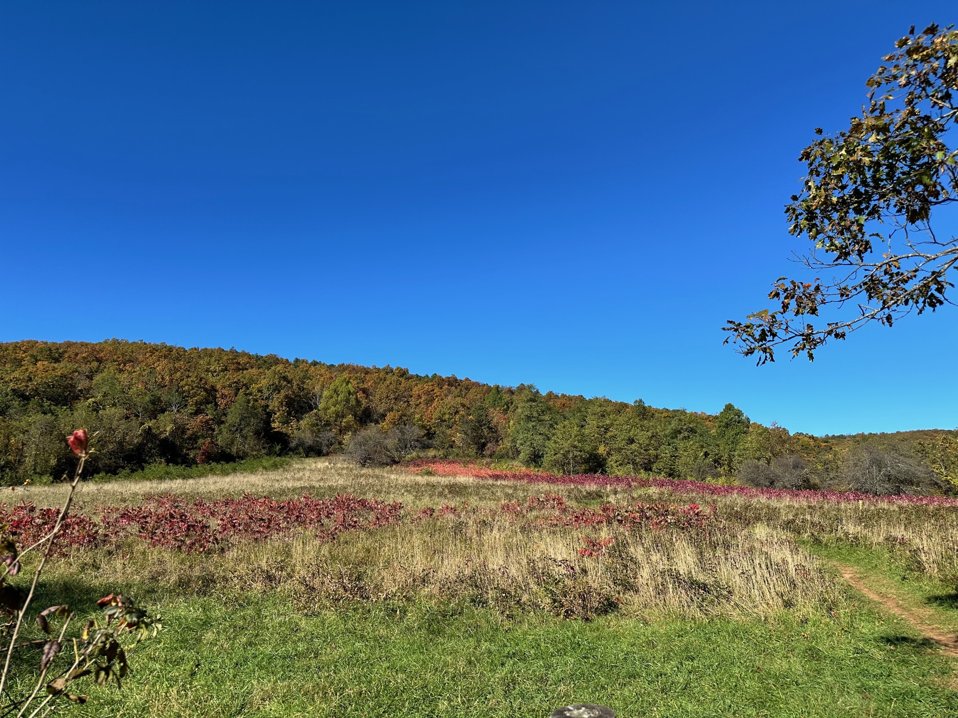 Shenandoah photo 2
