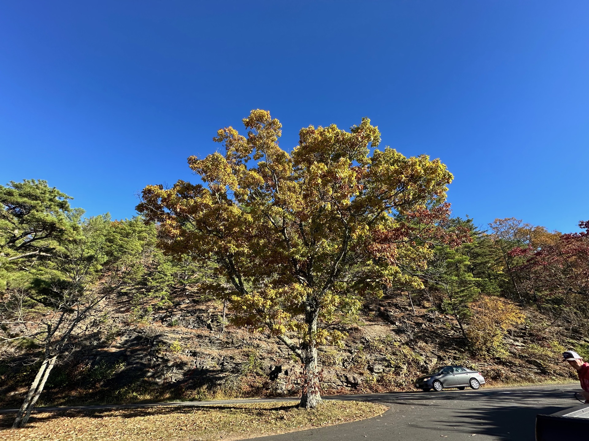 Shenandoah photo 4